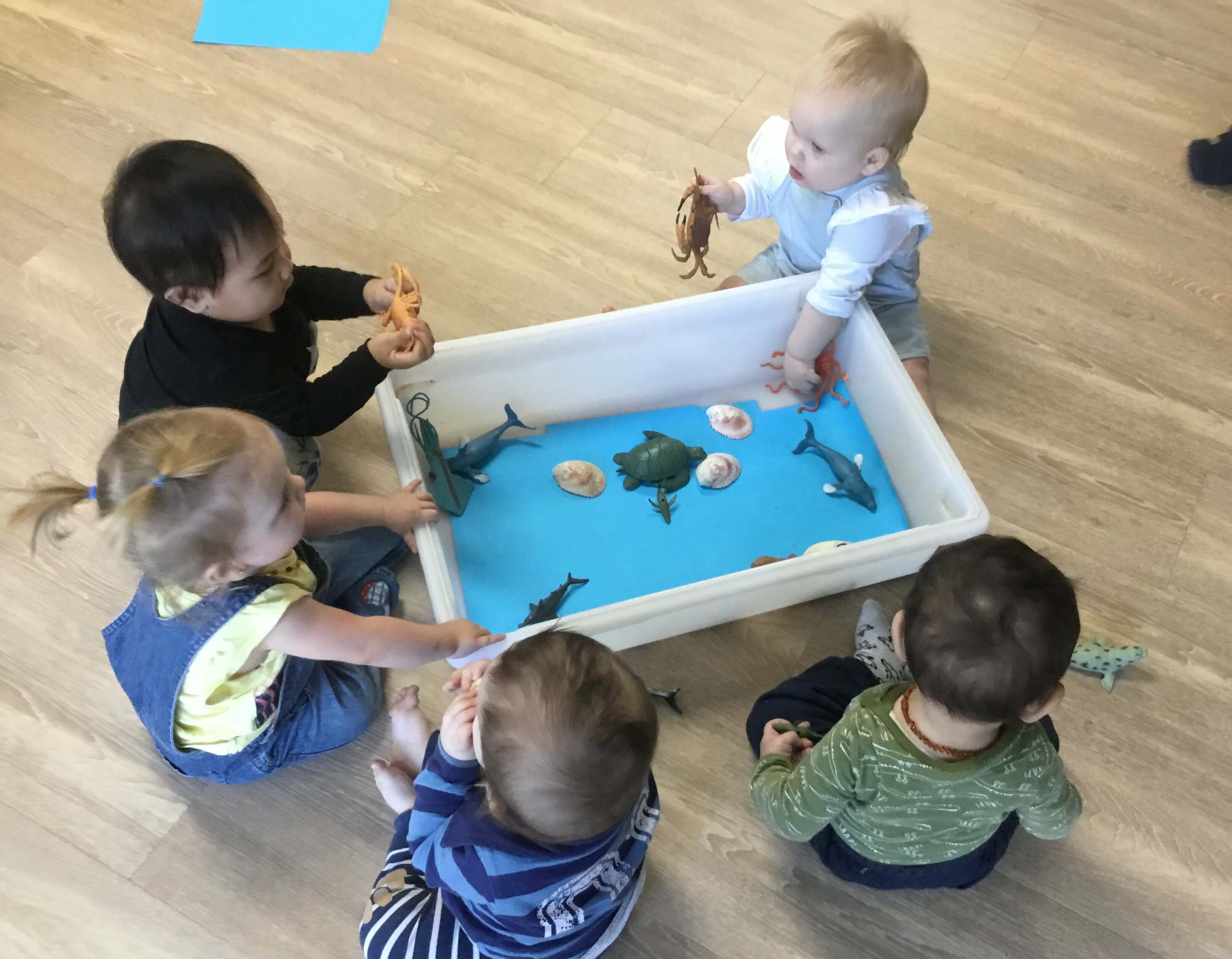At Creative Minds Early Learning Centre we believe that it is extremely important that children experience an environment where they are encouraged to learn with and alongside others, whether it be with adults or other children.  This collaborative environment is provided from a very early age at our centre as you can see here in […]