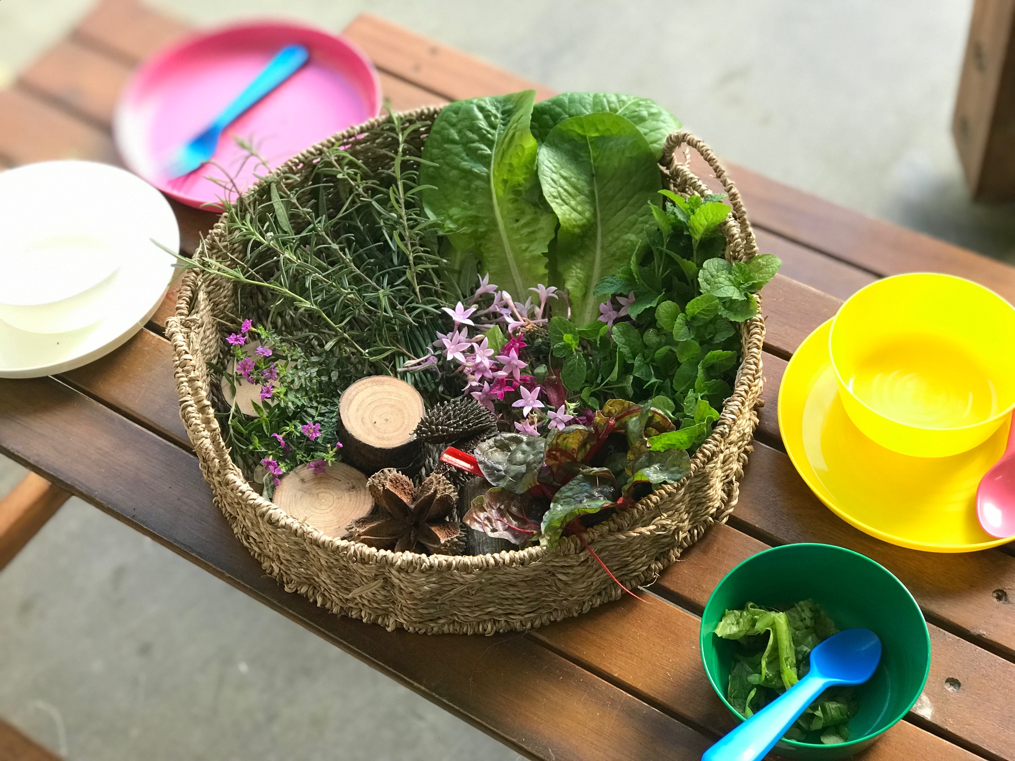 The children in our Murun Studio have been busy this week harvesting, tasting, investigating and experimenting with the produce from our centre gardens. “The best classroom and the richest cupboard is roofed only by the sky.” – Margaret Mcmillan